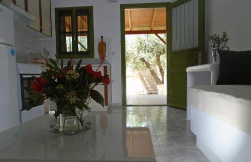 Leros Eleonas Apartments - Foto 62