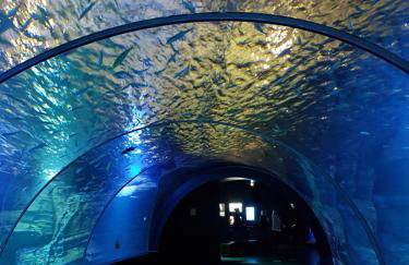 Maison Napoléon - Foto 36