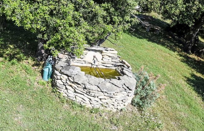 La Chênaie - Foto 44