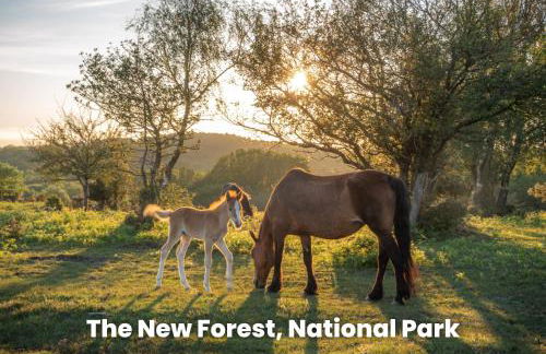 Cosy Retreat Near New Forest - Foto 38