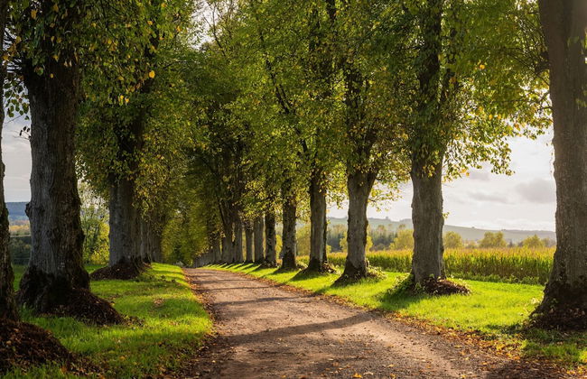 Holiday Home Adjoining a Chateau - Photo 40