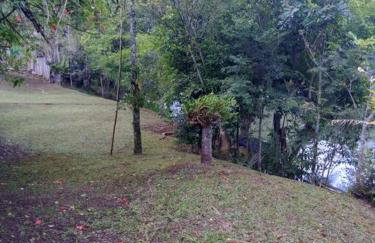 Sítio em área rural, ao pé da Serra Gaúcha. - Foto 33