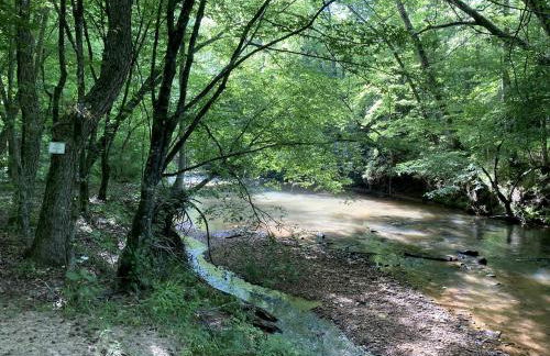 Beautiful Waterfront Cabin with Hot Tub near Winston-Salem, North Carolina - Foto 26