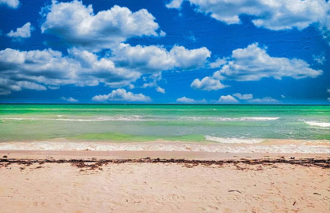 Location Location Location Best Beachfront Spot in El Cuyo With Stunning Views - Photo 30