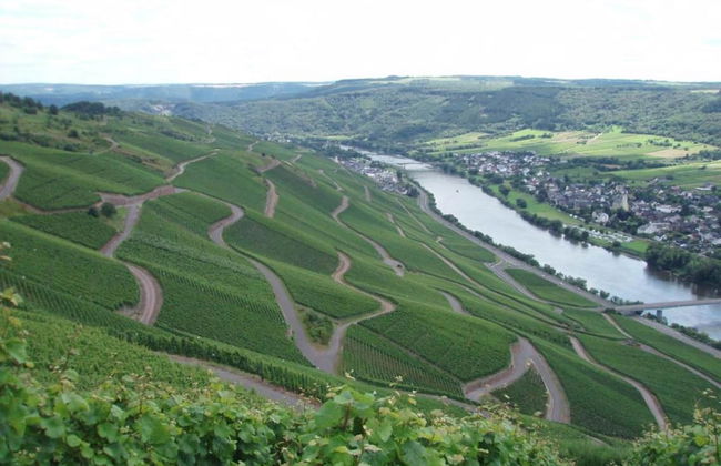 Vineyard View Romantic Stay - Foto 25