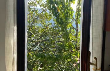 Casa di nonno Memé CITRA 008035-LT-0018 - Photo 39