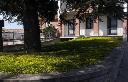 Residence La Quiete - Foto 38