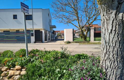 Romantic Apartment Flower - Photo 9