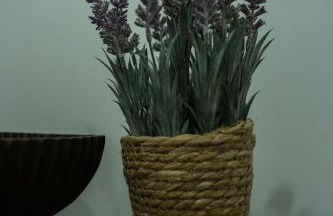 Casa de Campo Gracinda - Foto 34