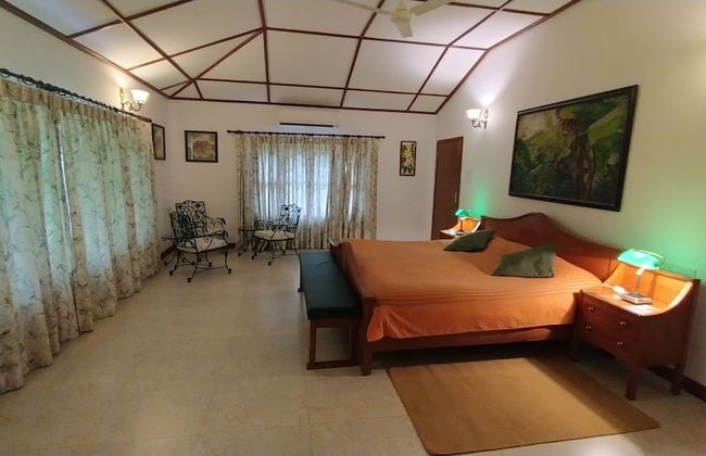 Wild Mahseer - Foto 3