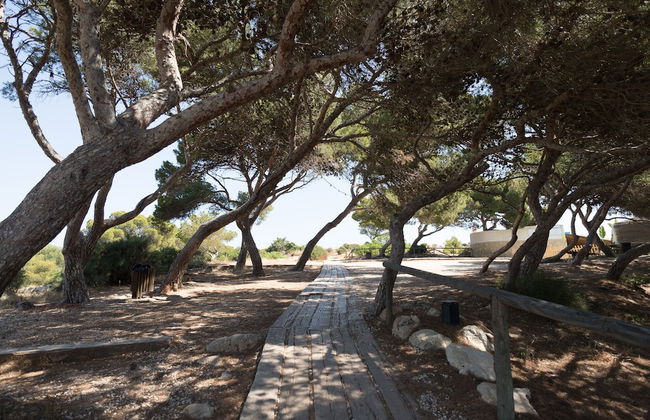 Arthur Berger - Foto 18