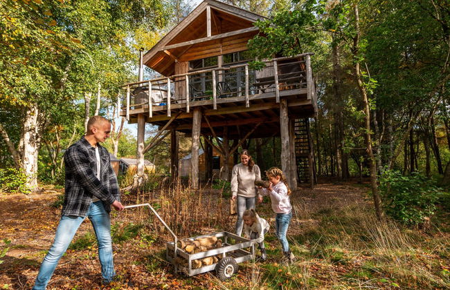 Forest Lodge 4 - Photo 14