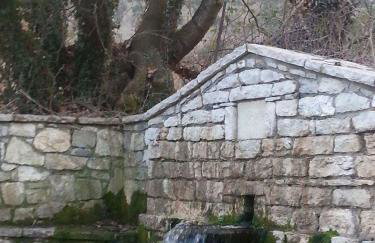 My Woodenfriend - Foto 9