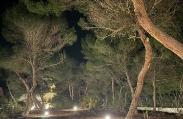 Acqua di Mare - Foto 15