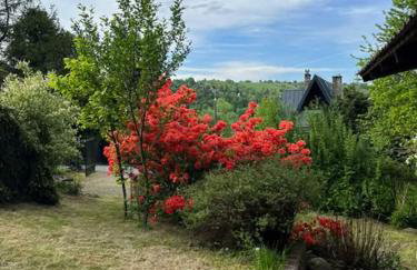 Chata pod lasem z balią i sauną - Foto 35