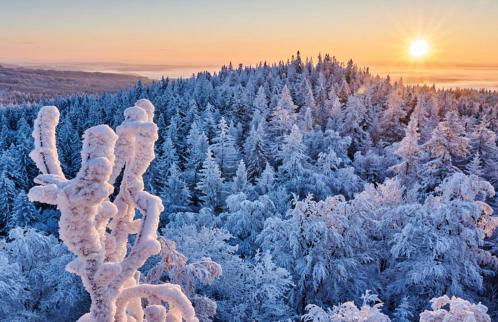 bergwärts - Foto 21