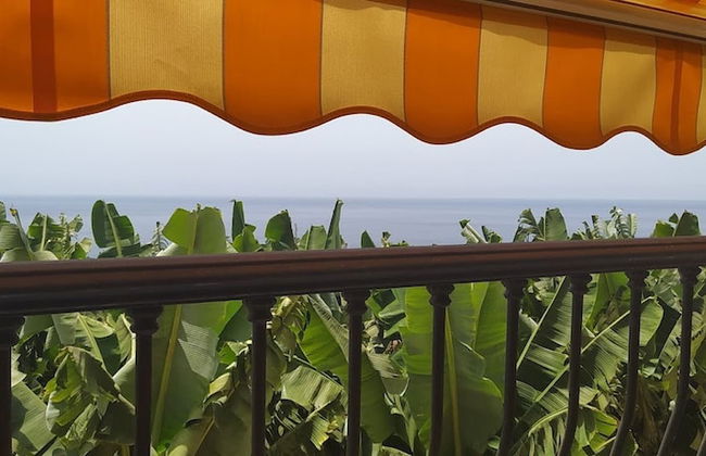 Caracol "trail Mountain La Palma" - Junto a Trébol - Foto 42