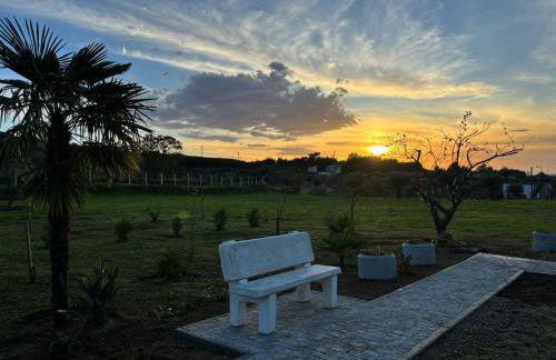 Quinta Santo Antonio - Foto 45