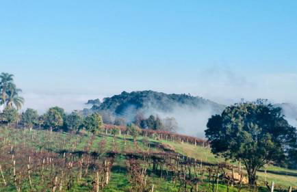 Cabana nas Nuvens - Foto 42