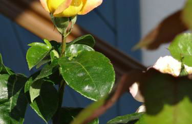 Ferienwohnung Riepertinger - Foto 11