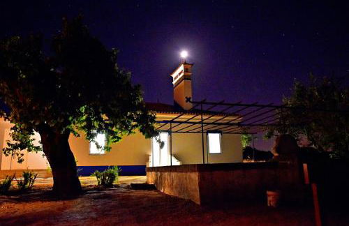 Monte Casa Branca - Foto 53