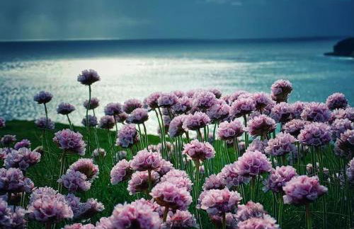 Nᴼ 21 Beautiful Cosy Modern Traditional Cottage - Photo 39