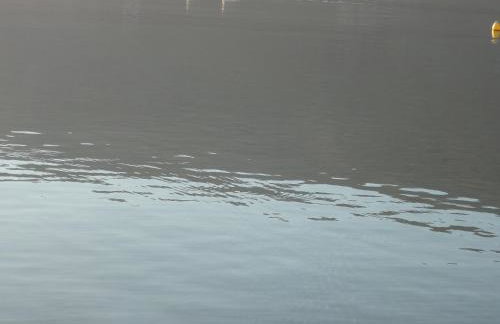 Cozy Citrus Garden House by the Seaside. - Photo 33