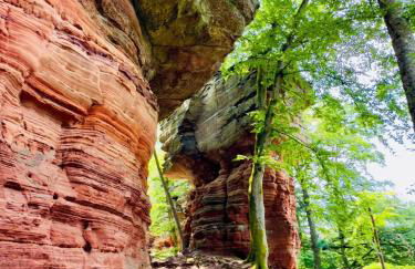 Haus Pusteblume - Foto 21