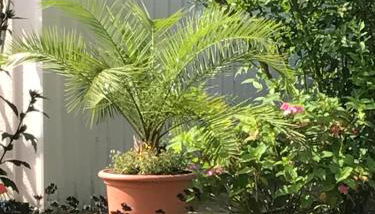 Ferienwohnung Poczewski - Foto 3, Garden