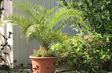 Ferienwohnung Poczewski - Foto 3