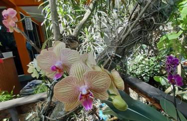 Stúdio Natureza S/A 1 - Photo 13