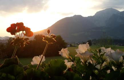 Ferienwohnung Grünsteineck - Foto 6