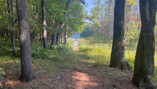 Northwoods Resort - Photo 3