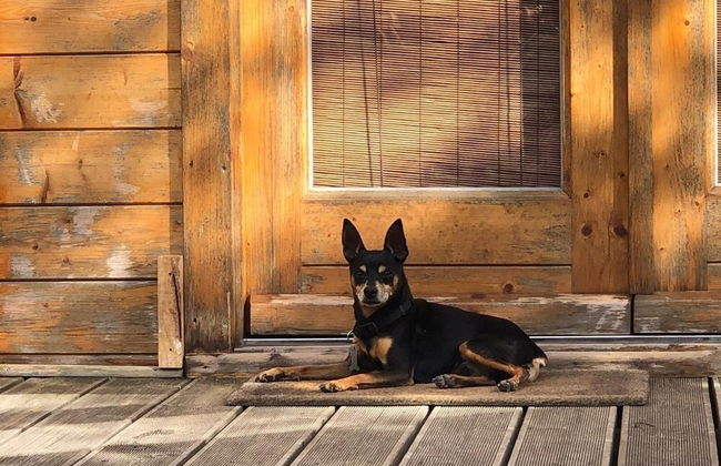 Mimosa Village - Foto 66