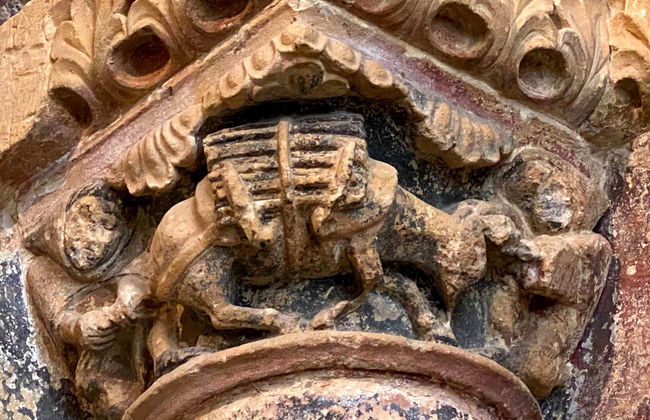 Tour privado por Toro - Foto 8