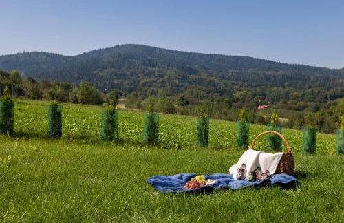 Piotrowiczówka Osada w Szczyrzycu - Photo 18