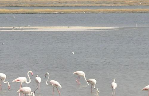 La Skala Eressos Holiday Apartments - Foto 36