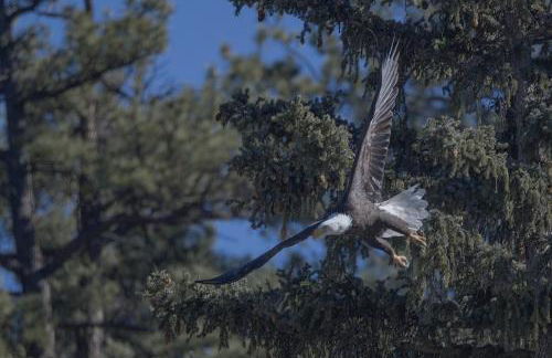 Mountain Peak Home - Foto 43