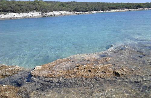 Eco Secluded apartments Zabodarski - Foto 27