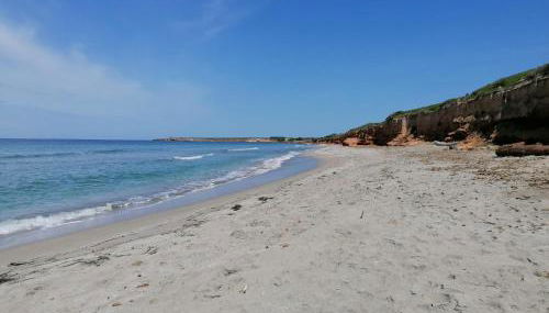 Il Verde Ulivo - Photo 5