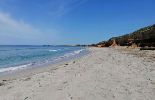 Il Verde Ulivo - Foto 5