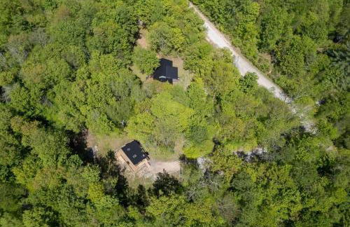 Private Cabin with Guesthouse Hot Tub Fire Pits - Foto 21