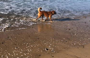 Meadowside Cottage, Characterful Grade 2 Listed Cottage near to Wadebridge and Padstow - Foto 7