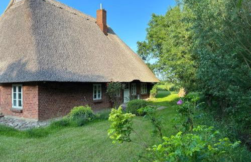 Kembser Cottage - Reetdachhaus - Foto 1
