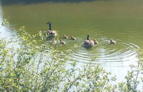 19 Carters Paddock - Foto 7