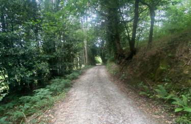 Casa da Costa de Sueiro - Foto 25