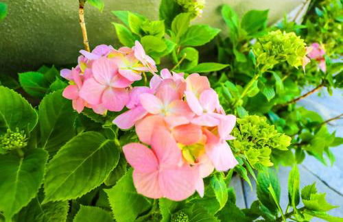 Amazing days Spa Pool Villa near Disney & Beaches - Foto 123