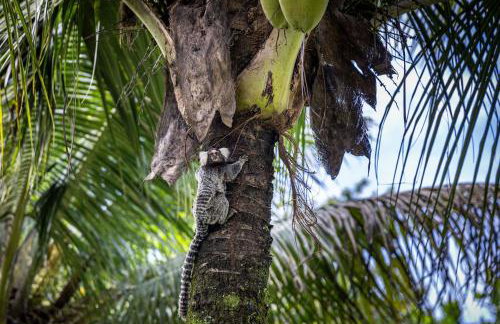 Casa Condominio Piccola Paraty - Photo 22