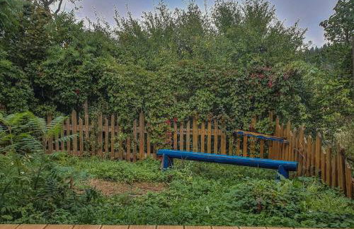 Kałamunka - Foto 27