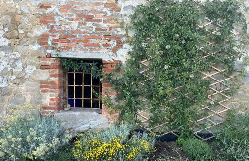 Ca' Inua - arte, bosco, ospitalità - Photo 7